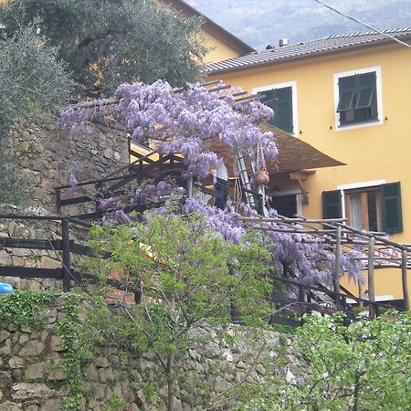 Agriturismo Il Sogno Lorsica Экстерьер фото