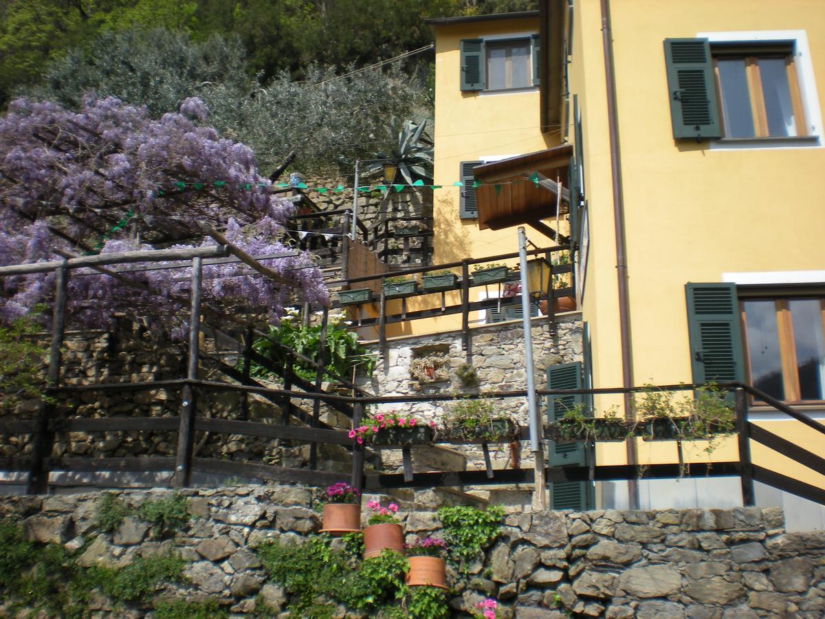 Agriturismo Il Sogno Lorsica Экстерьер фото